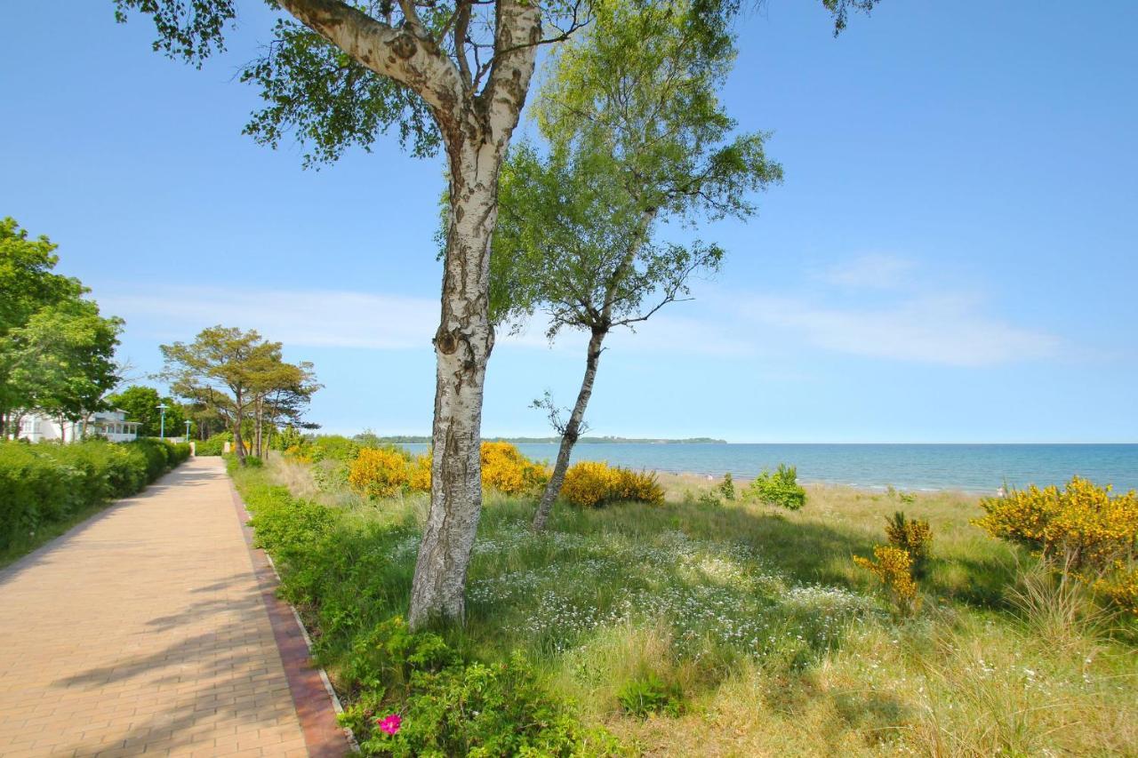 Residenz Mare Baltikum Fewo 3 - Strandnah, Terrasse, Sauna يوليوسروه المظهر الخارجي الصورة